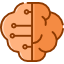 Rozwojowe